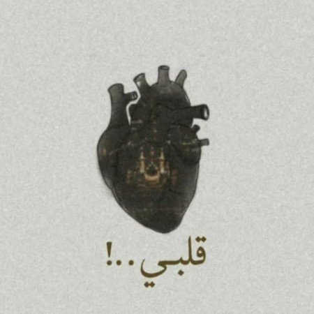  عکس حرم امام حسین از بالا