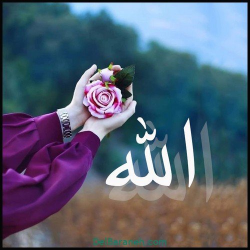 50 عکس پروفایل الله