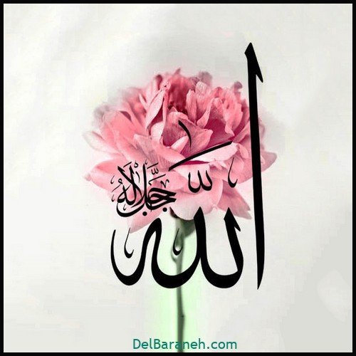  50 عکس پروفایل الله