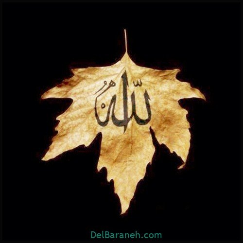  عکس پروفایل الله شیک