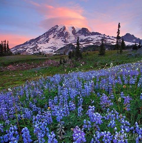 عکس الله در طبیعت