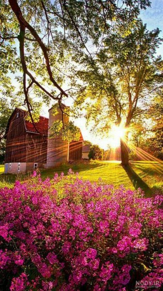  عکس الله در طبیعت