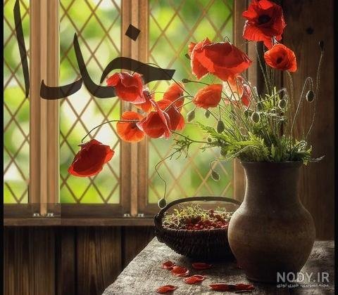  عکس الله در طبیعت