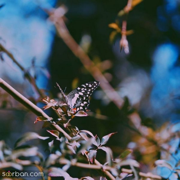  عکس پروفایل اینستاگرام خفن پسرانه