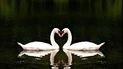  عکس پروفایل دونفره خفن عاشقانه