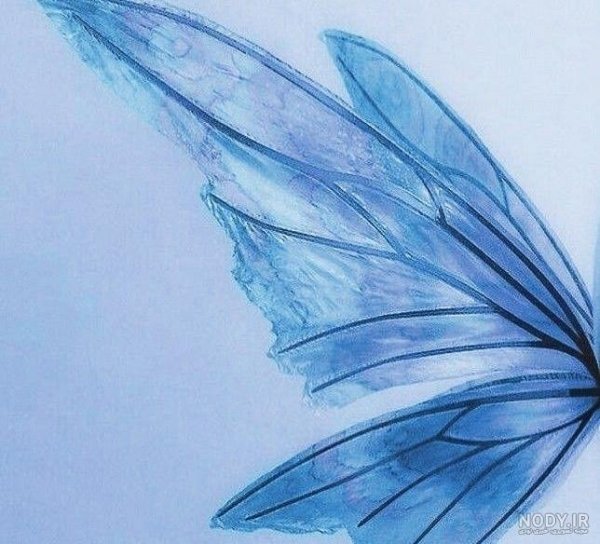  عکس پروفایل آبی شاخ