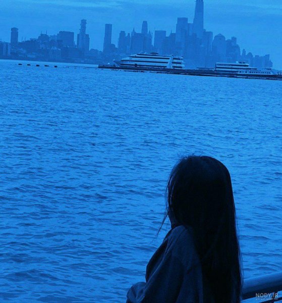  عکس پروفایل آبی شاخ