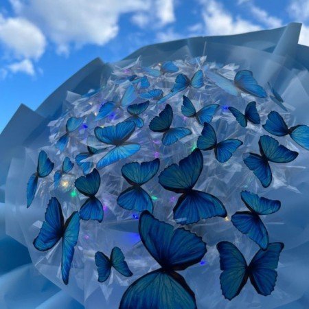  200 عکس کیوت آبی دخترانه