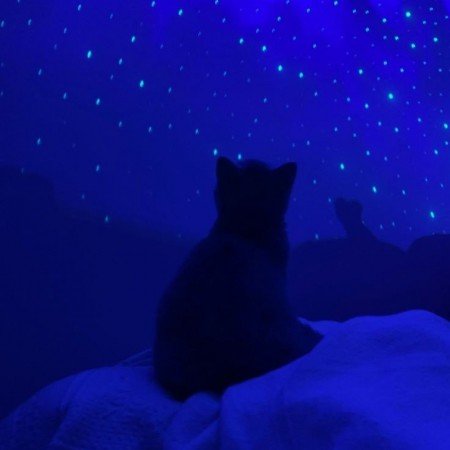  200 عکس کیوت آبی دخترانه