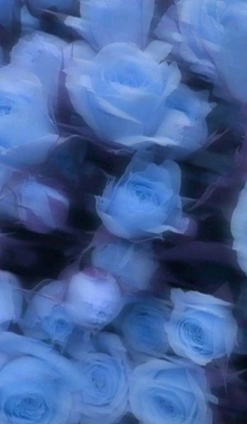  200 عکس کیوت آبی دخترانه