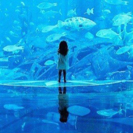  200 عکس کیوت آبی دخترانه