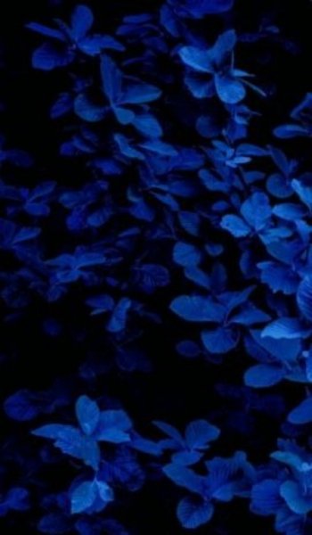  200 عکس کیوت آبی دخترانه