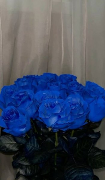  200 عکس کیوت آبی دخترانه