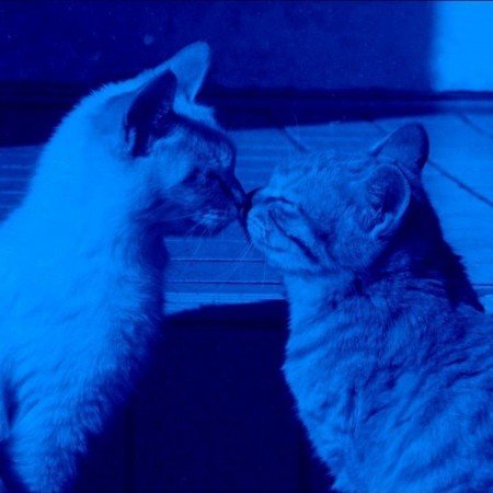  200 عکس کیوت آبی دخترانه