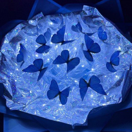  150 عکس آبی کیوت