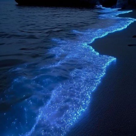  150 عکس آبی کیوت