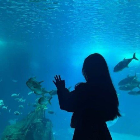  150 عکس آبی کیوت