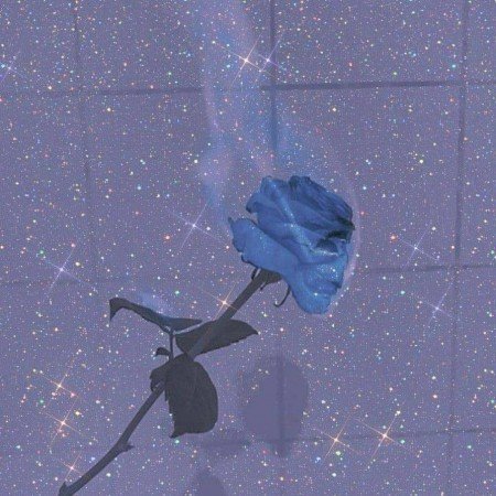  150 عکس آبی کیوت