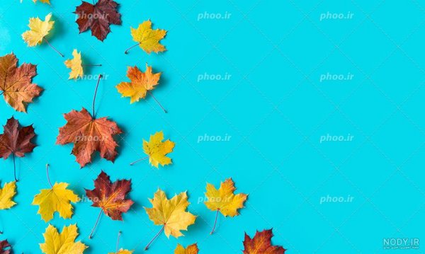  عکس پروفایل آبی فیروزه ای