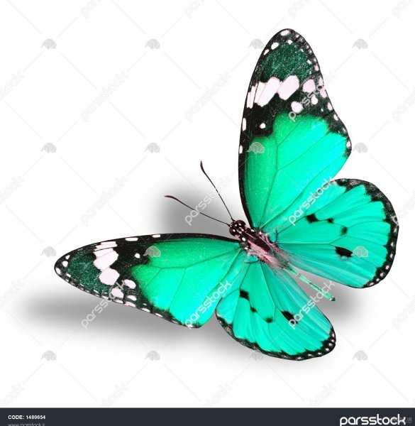  78 عکس پروفایل آبی ساده