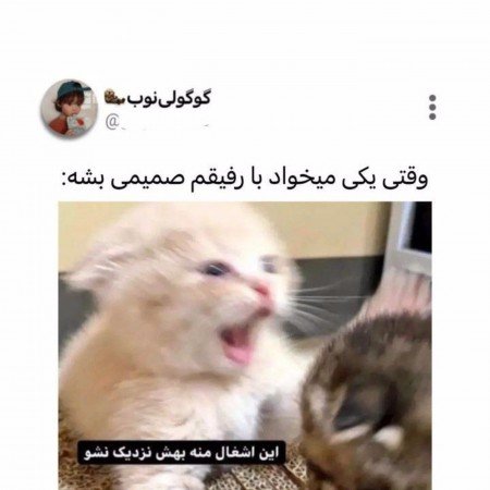  150 عکس پروفایل ست رفیق