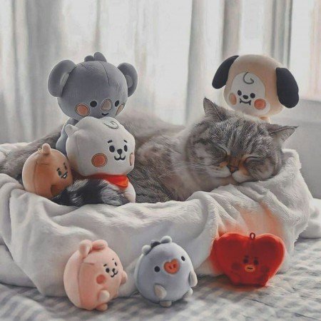  عکس پروفایل تولدم مبارک