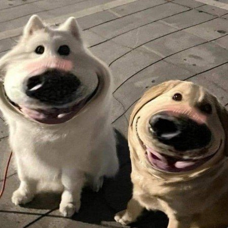  عکس پروفایل تولدم مبارک