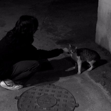  210 عکس پروفایل تنهایی