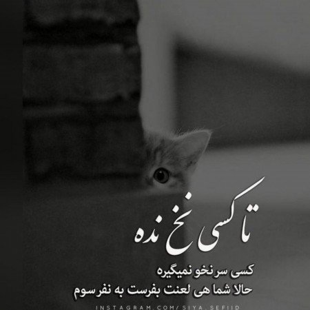  عکس پروفایل تیکه دار