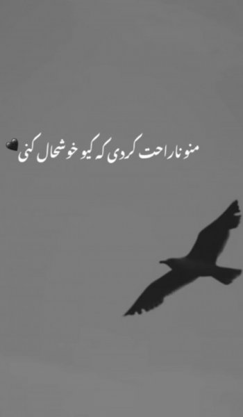  عکس پروفایل تیکه دار