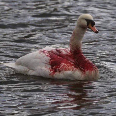  عکس پروفایل تیکه دار غمگین