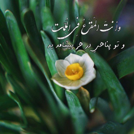  عکس پروفایل تیکه دار خدایی