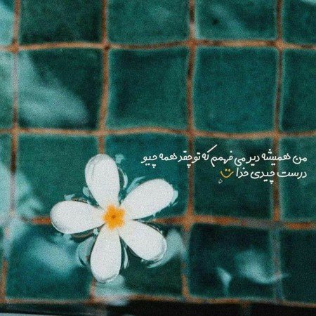  عکس پروفایل تیکه دار خدایی