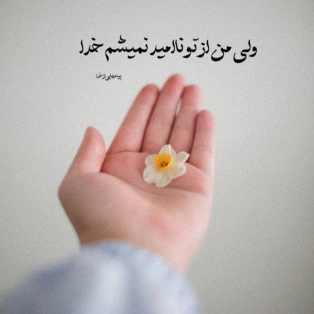  عکس پروفایل تیکه دار خدایی