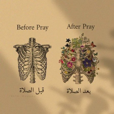  عکس پروفایل تیکه دار خدایی