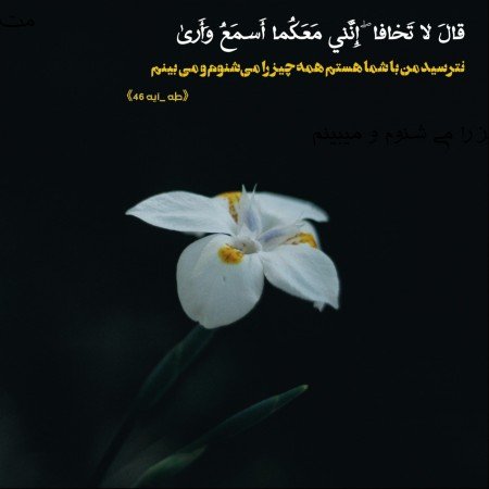  عکس پروفایل تیکه دار خدایی