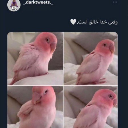  عکس پروفایل تیکه دار خدایی