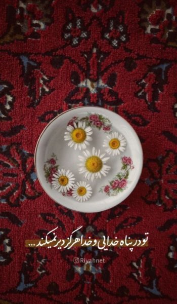  عکس پروفایل تیکه دار خدایی