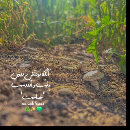  عکس پروفایل تیکه دار خدایی