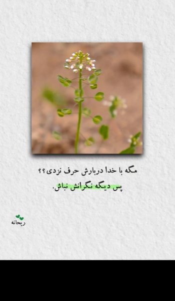  عکس پروفایل خدایی خاص