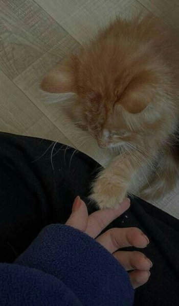  عکس پروفایل خدایی خاص