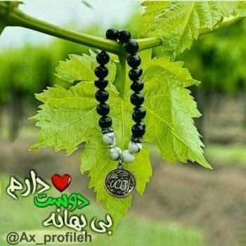  110 عکس پروفایل خدایا شکرت جدید