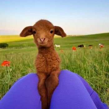  110 عکس پروفایل خدایا شکرت جدید