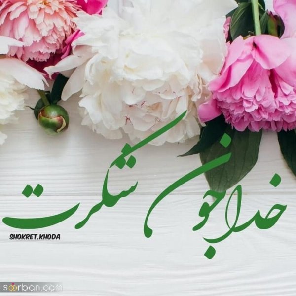  200 عکس خدایا شکرت برای پروفایل