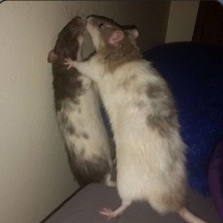  عکس پروفایل تنهایی غمگین