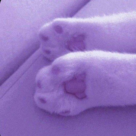  100 عکس تیک تاک دخترانه