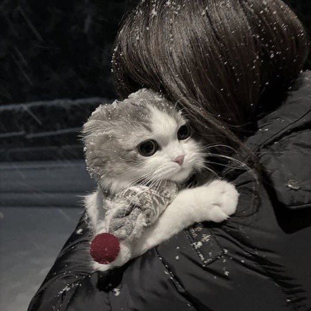  عکس تیک تاک اصلی