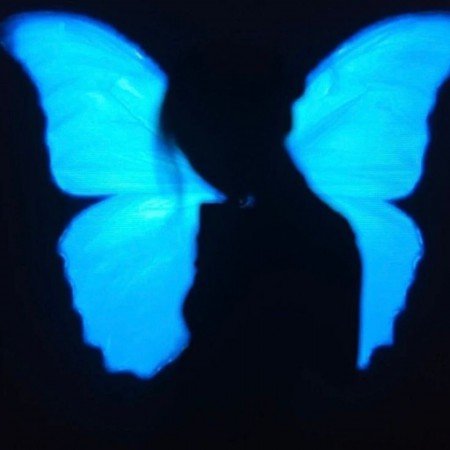  عکس تیک تاک اصلی