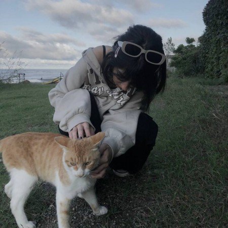  عکس تیک تاک اصلی