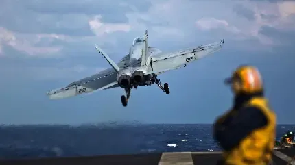  عکس تیک تاک کیوت